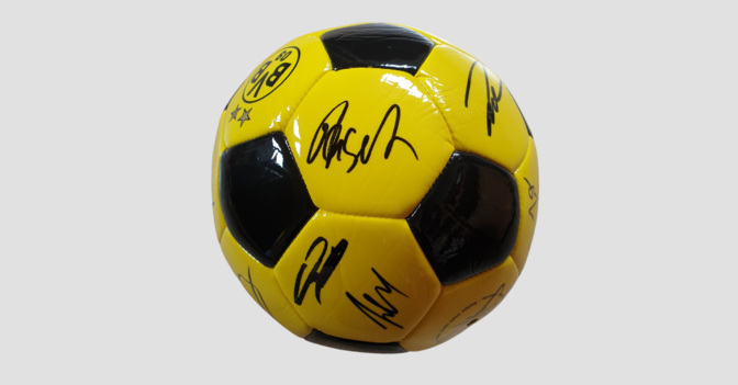  BVB Ball teamsigniert 