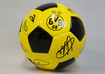  BVB Ball 