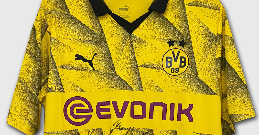 BVB Cup Trikot signiert   BVB Cup Trikot signiert