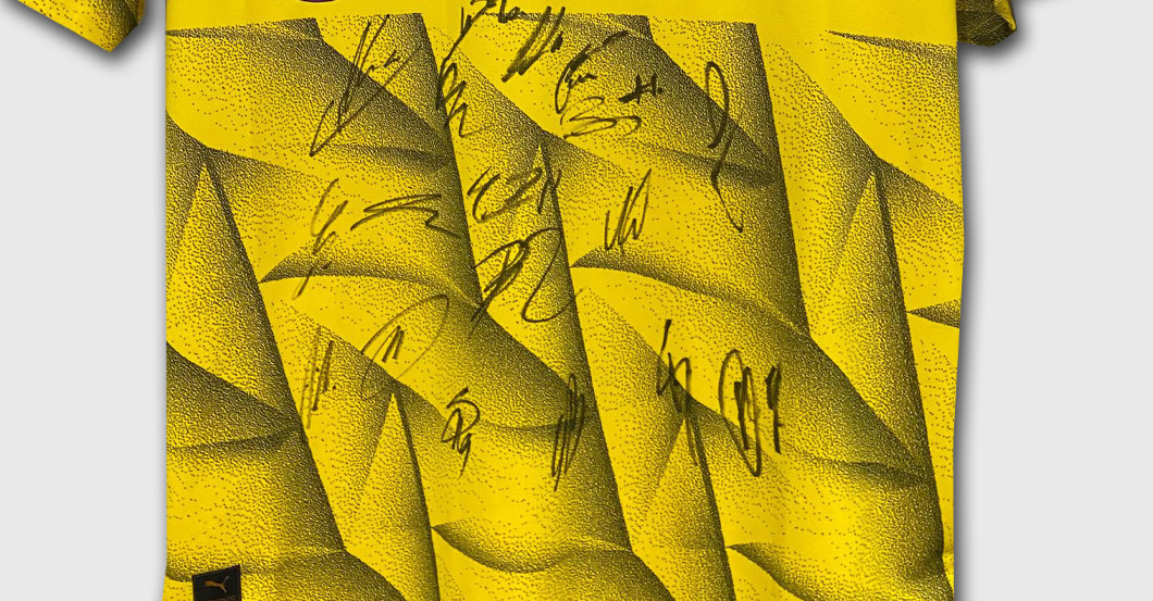 BVB Cup Trikot signiert   BVB Cup Trikot signiert