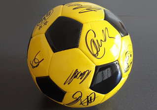  BVB signiert Ball  