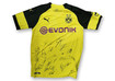  BVB Trikot 2018 19 