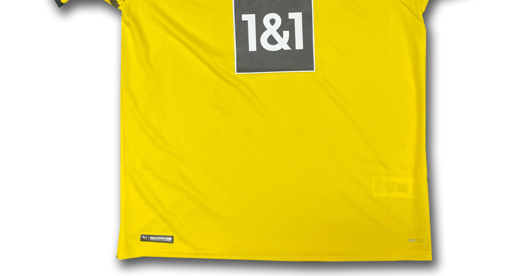  BVB Trikot Pongracic  