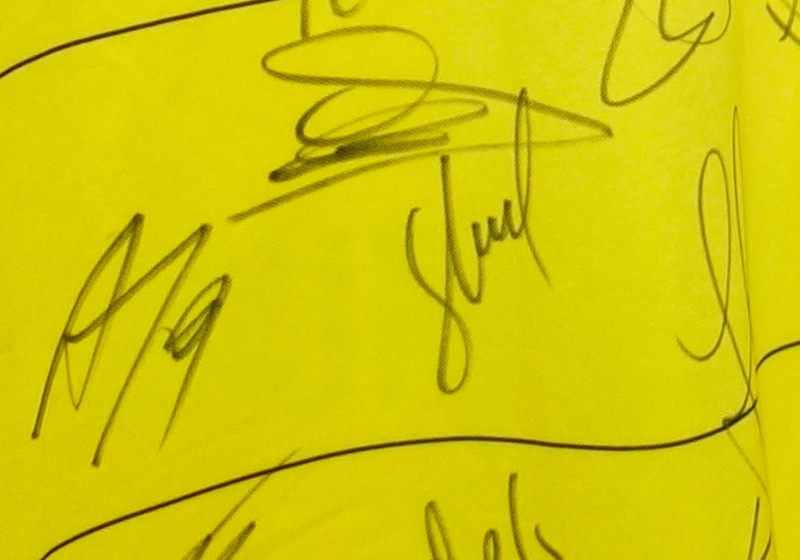  BVB Trikot signiert L 