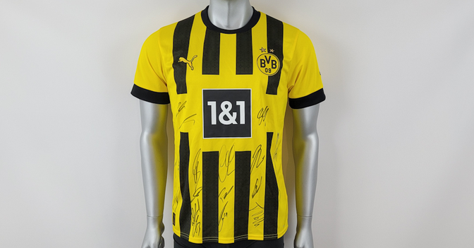 BVB-Trikot signiert   BVB-Trikot signiert