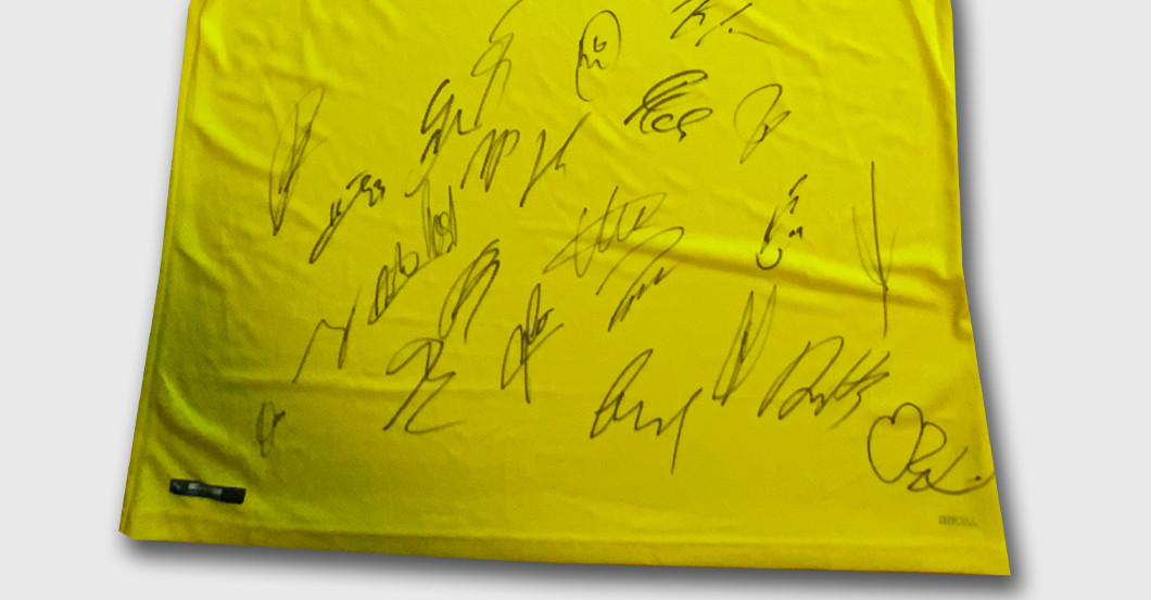  BVB Trikot Teamsign 