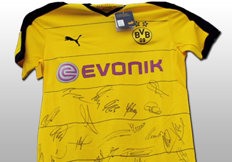  BVB Trikot teamsigniert 