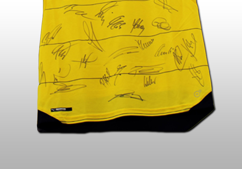  BVB Trikot teamsigniert 