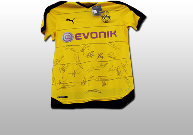  BVB Trikot teamsigniert 