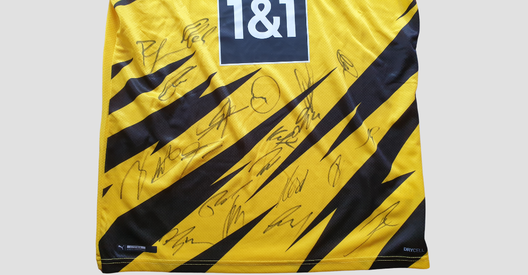  BVB Trikot teamsigniert 