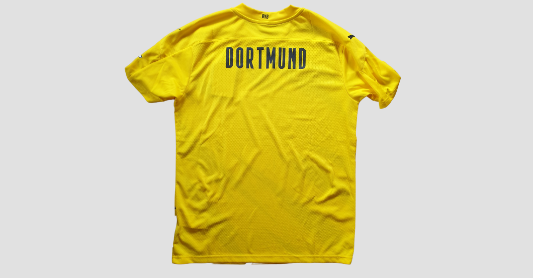  BVB Trikot teamsigniert 