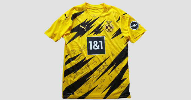  BVB Trikot teamsigniert 