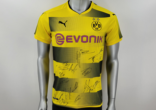  BVB-Trikot teamsigniert  