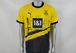  BVB-Trikot teamsigniert 
