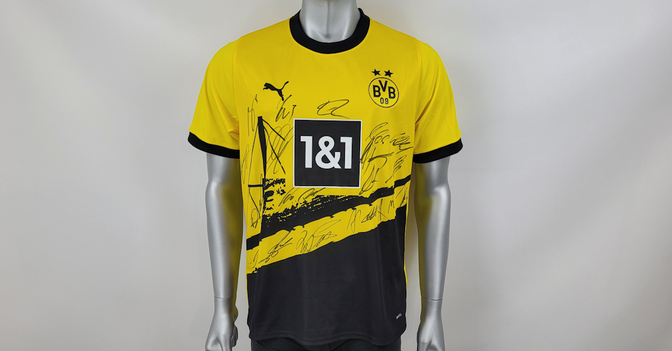 BVB-Trikot teamsigniert   BVB-Trikot teamsigniert