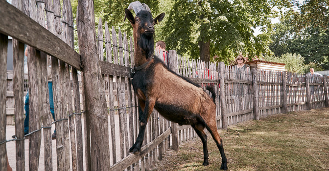 Call Hennes   Call Hennes