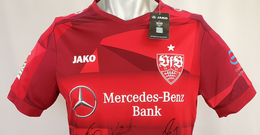 Castro VfB teamsigniert   Castro VfB teamsigniert