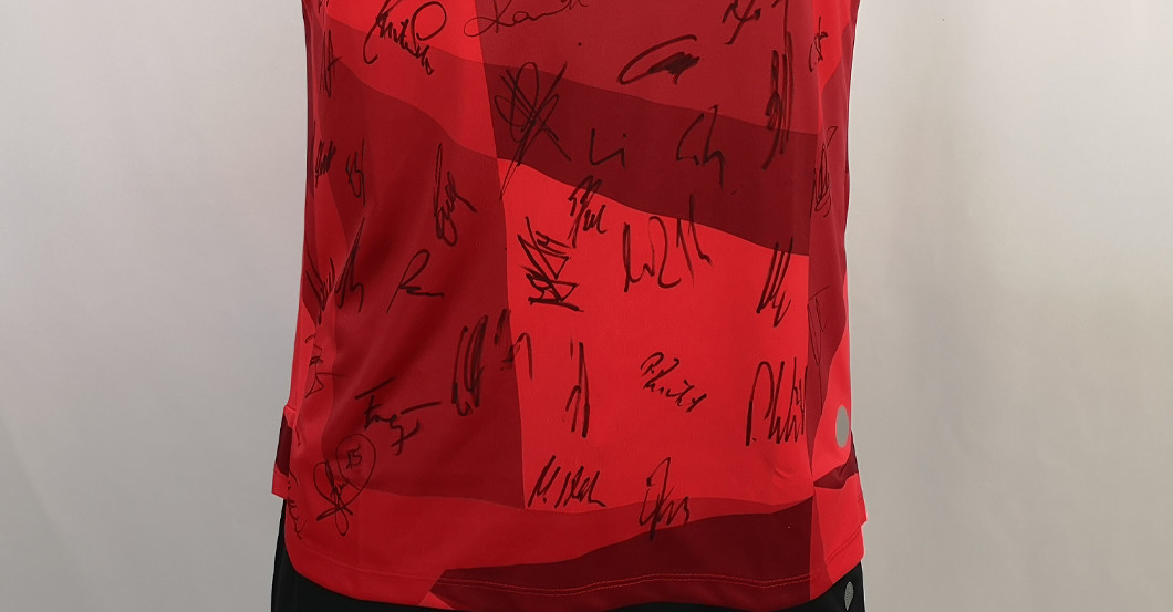 Castro VfB teamsigniert   Castro VfB teamsigniert