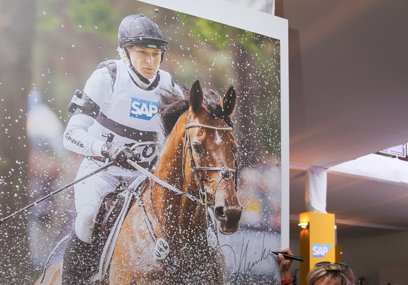 Cavaletti Training Klimke   Cavaletti Training Klimke