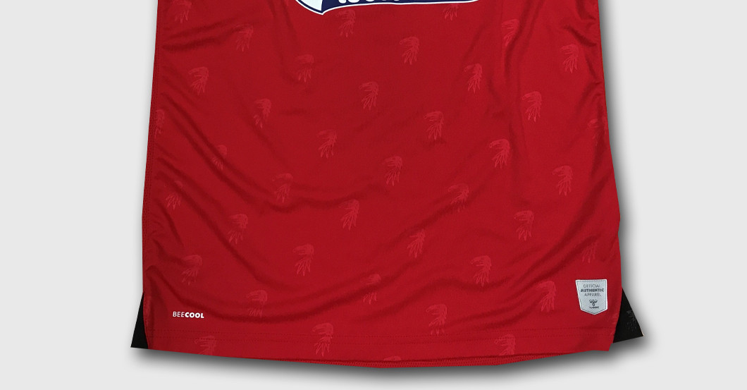 Christian Günter Trikot   Christian Günter Trikot