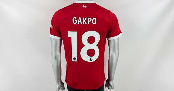 Cody Gakpo Trikot    Cody Gakpo Trikot
