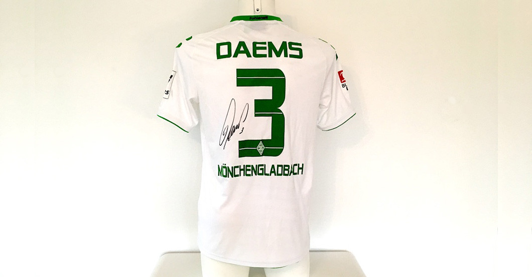  Daems Sondertrikot 