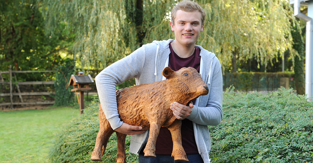  Dahoam Set Schneider  