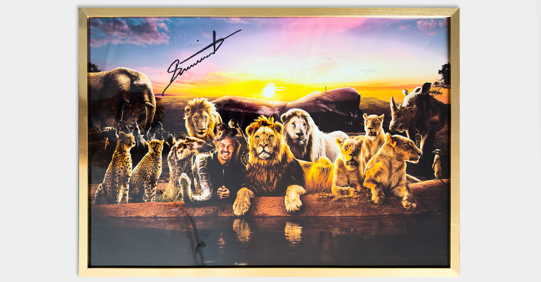 Dean Schneider Print   Dean Schneider Print