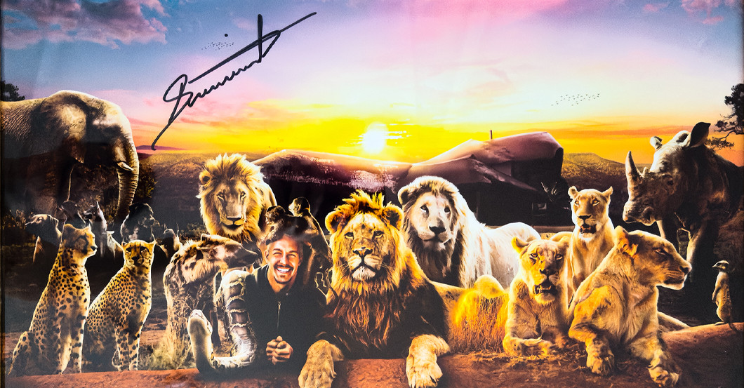 Dean Schneider Print   Dean Schneider Print