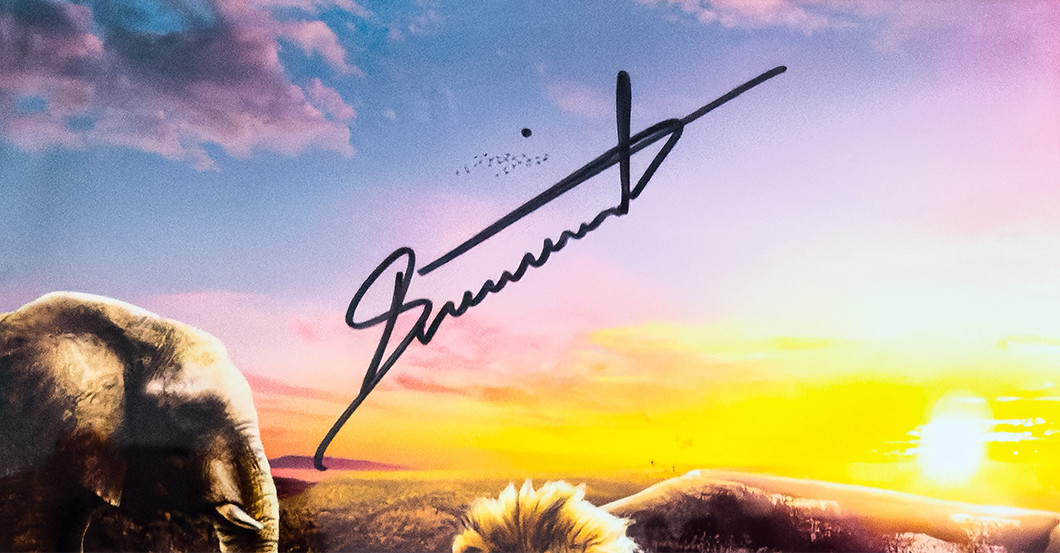 Dean Schneider Print   Dean Schneider Print