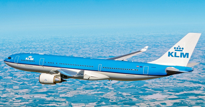 Delfine Curacao    Delfine Curacao