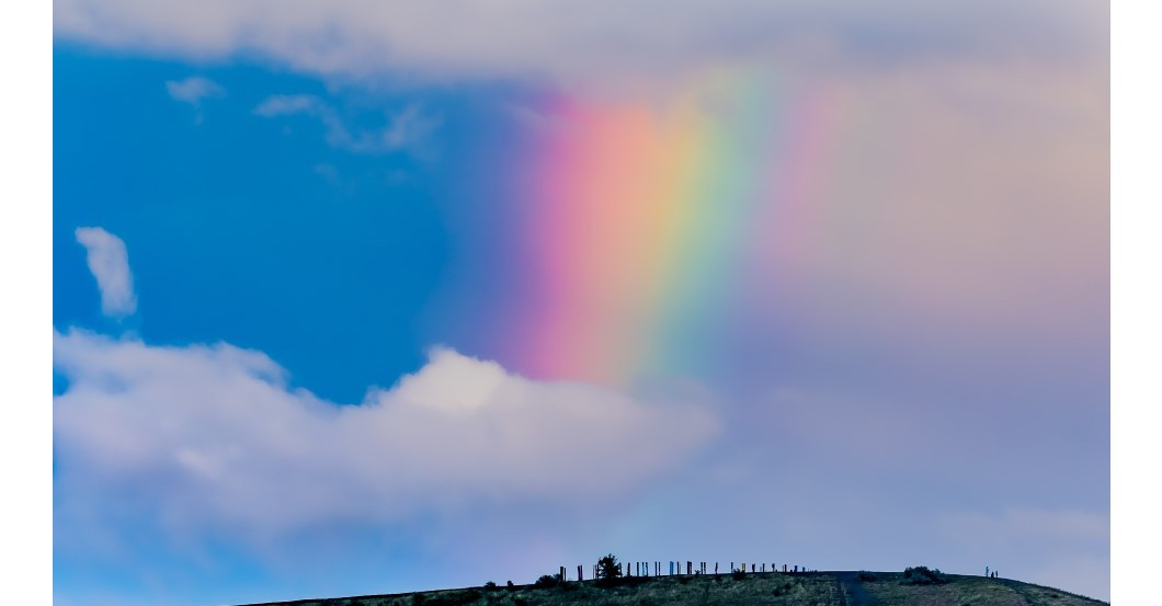 Delfine Köster Fotografie   Delfine Köster Fotografie