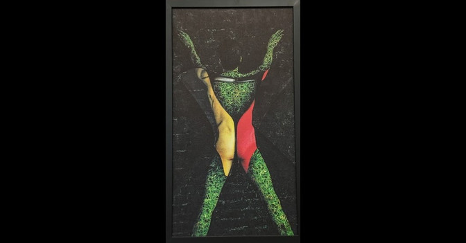  Delfine Wohlreich Foto 