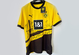  DeSEK BVB Trikot 