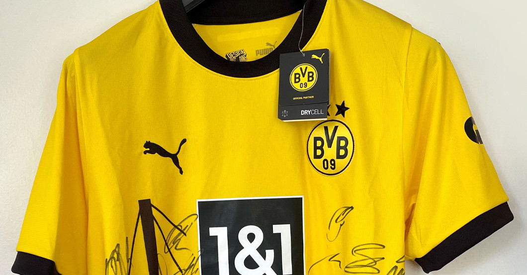  DeSEK BVB Trikot 