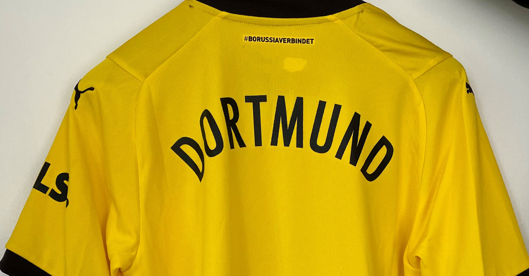  DeSEK BVB Trikot 