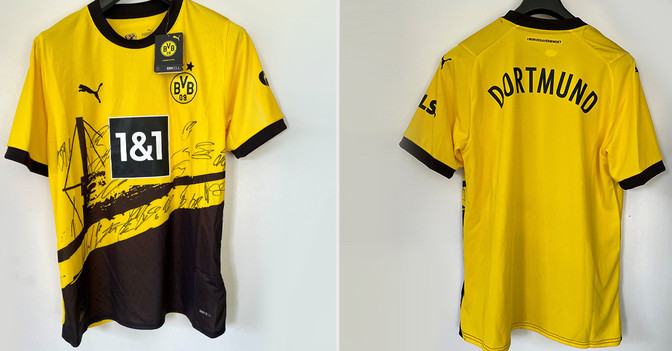 DeSEK BVB Trikot 