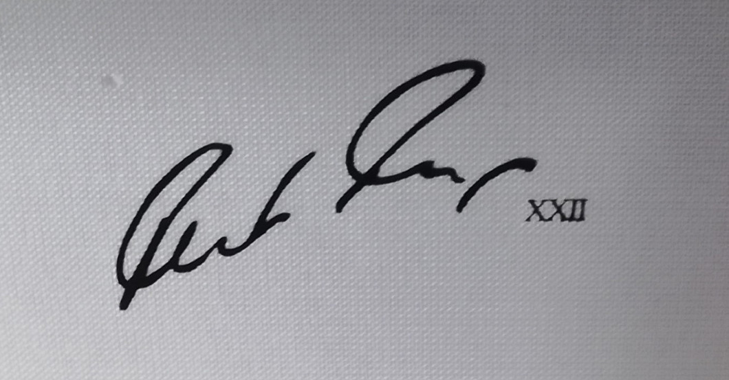  Designerbrille Frings 