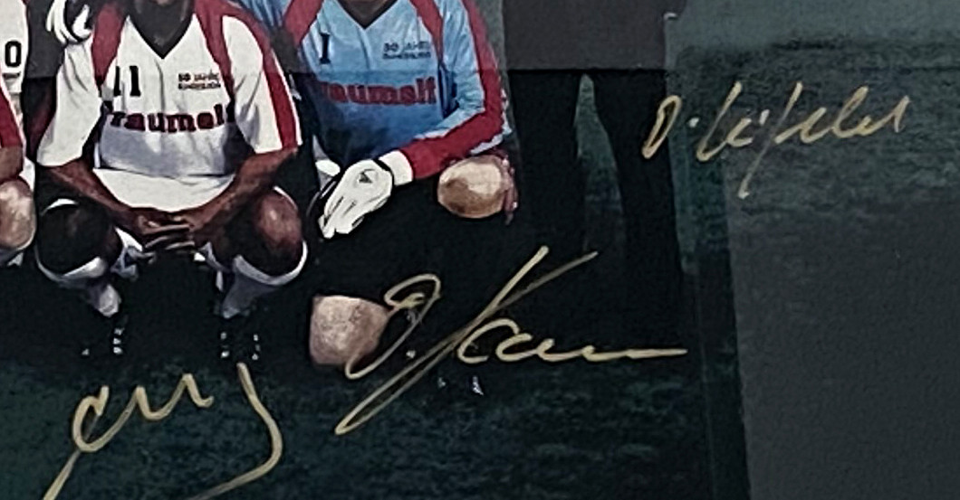  DFB Bundesliga Traumelf 