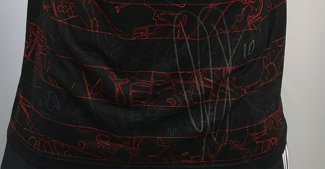 Didavi VfB signiert L   Didavi VfB signiert L