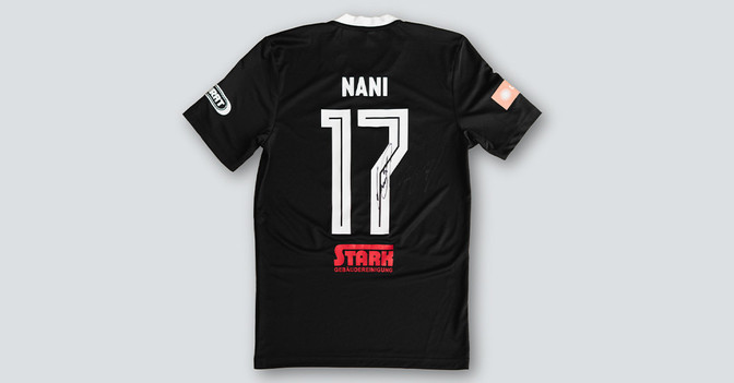 Diego Nani   Diego Nani