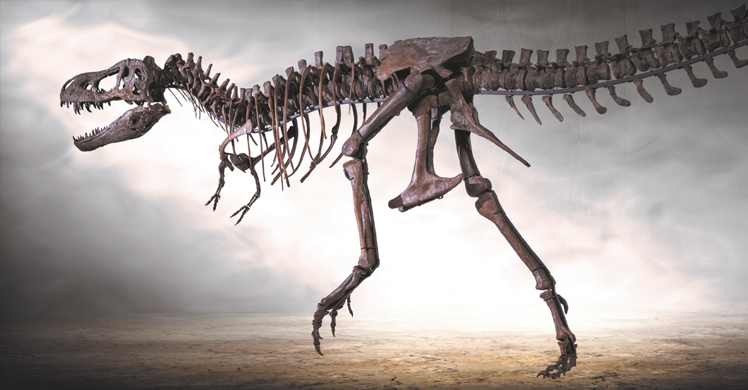 Dinosaurier Erlebnis   Dinosaurier Erlebnis