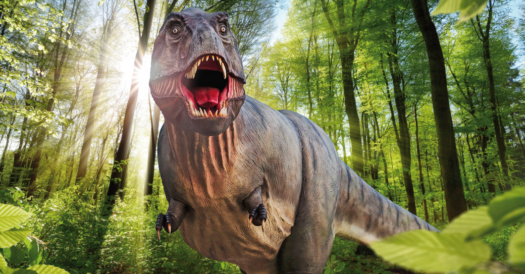 Dinosaurier Erlebnis   Dinosaurier Erlebnis