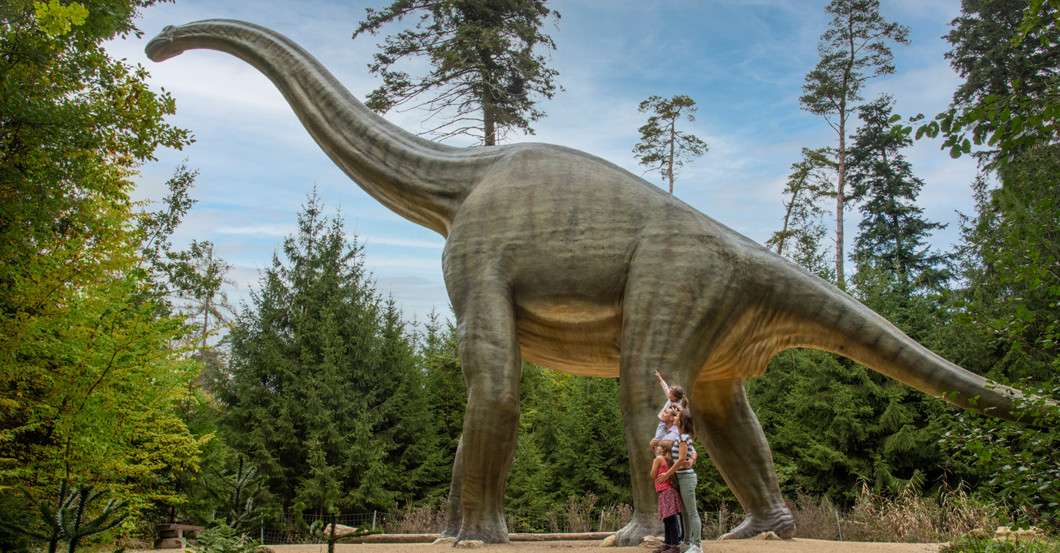Dinosaurier Erlebnis   Dinosaurier Erlebnis