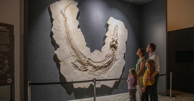 Dinosaurier Erlebnis   Dinosaurier Erlebnis