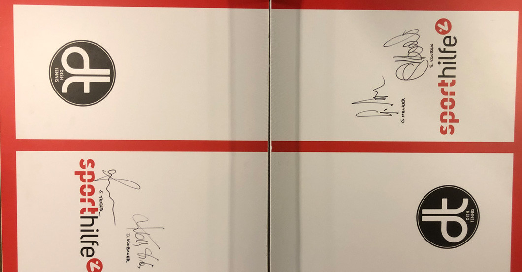 Dish Tischtennis Tisch   Dish Tischtennis Tisch