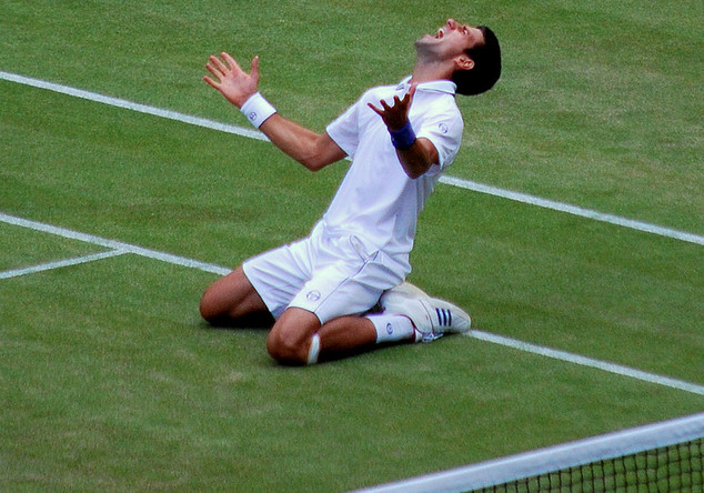  Djokovics Wimbledonschuhe 