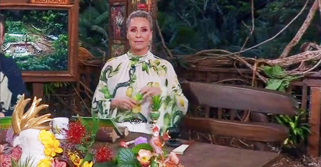  Dschungel Bluse Finale 