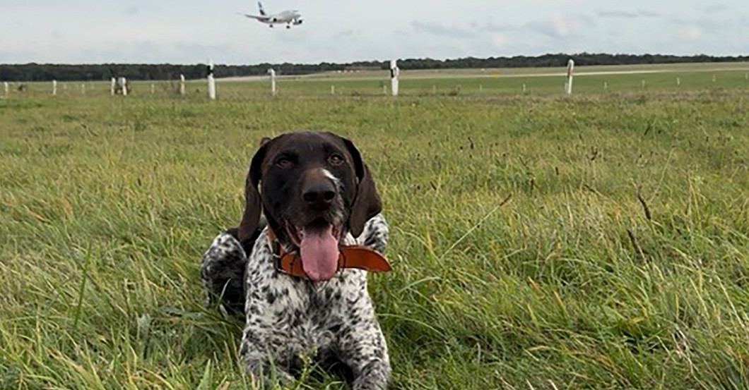  Düsseldorf Airport 1 