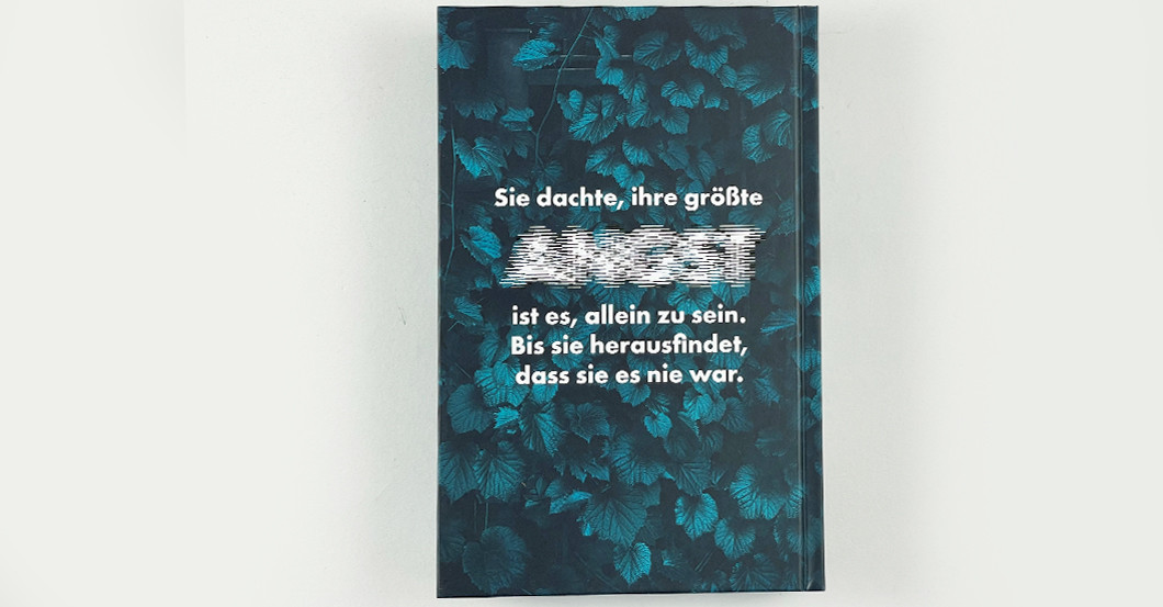  DV Fitzek Der Nachbar 